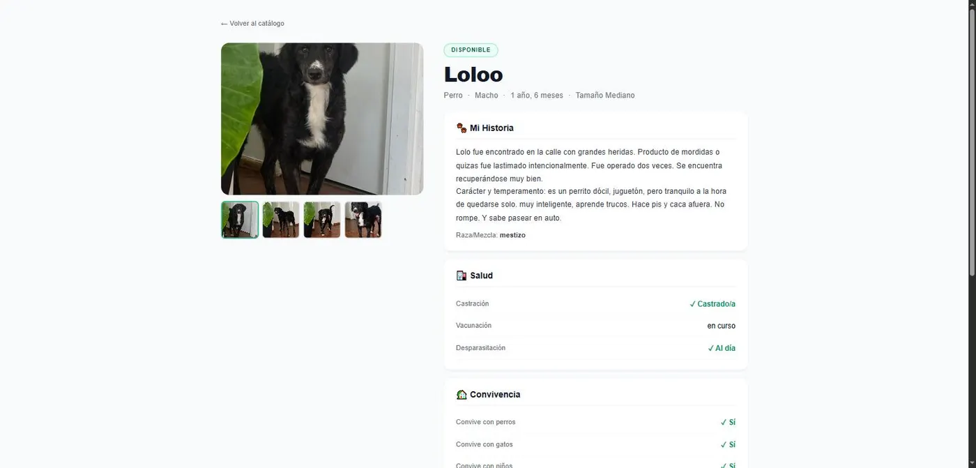 Ficha de un animal con su historia, salud y convivencia